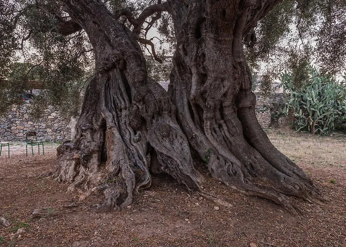 Masseria Torrelonga
