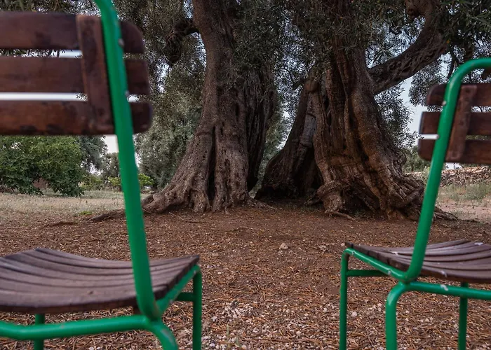 Masseria Torrelonga