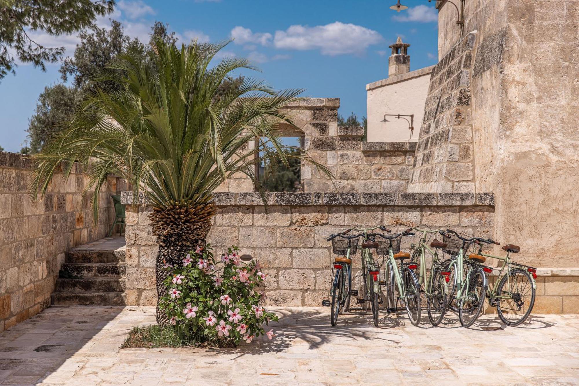 Masseria Torrelonga Farm stay *