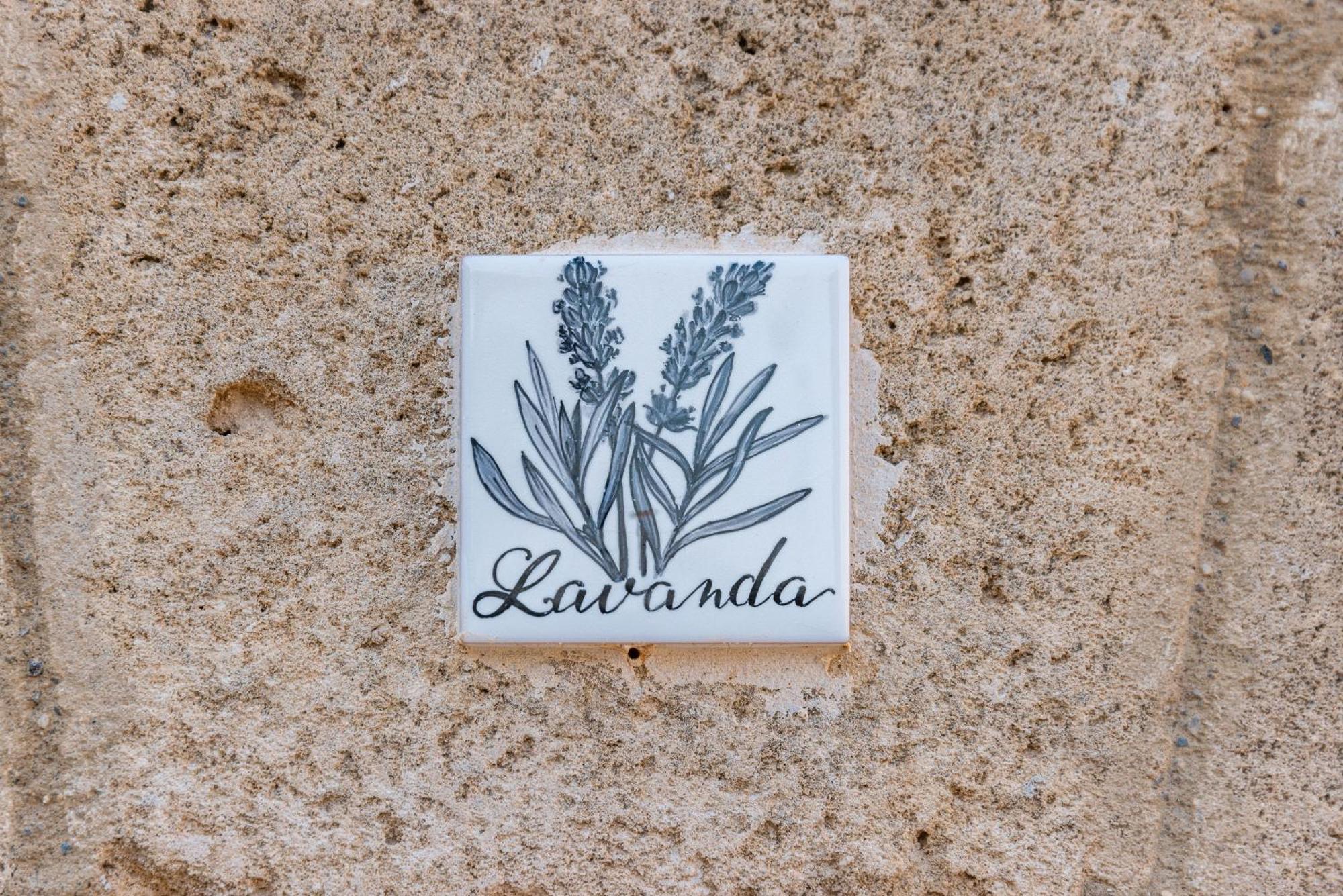 Farm stay Masseria Torrelonga